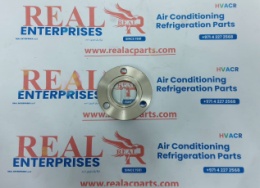OIL SIGHT GLASS (4)