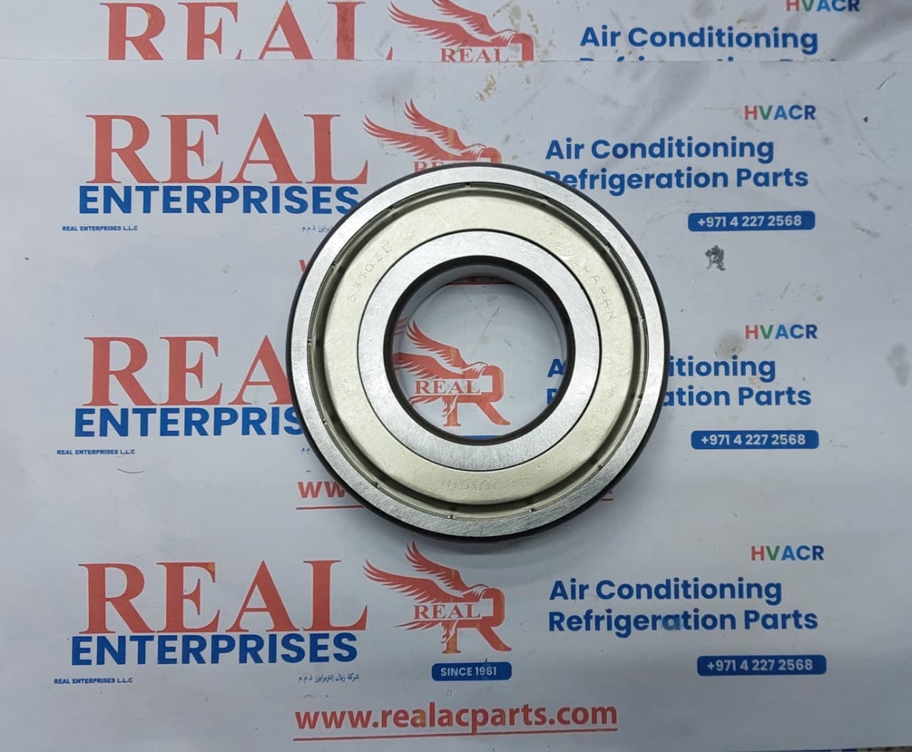 Deep Groove Ball Bearing double-shielded (6310ZE)
