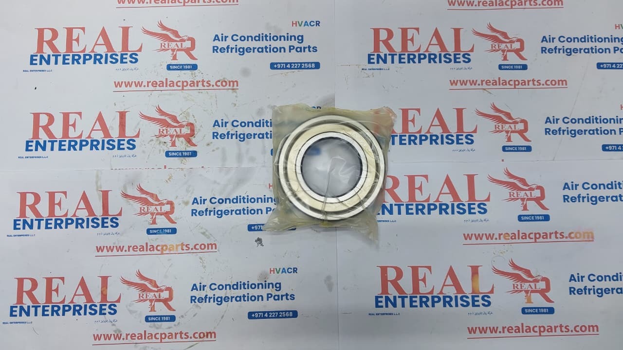 Deep Groove Ball Bearing (NS7S 702)
