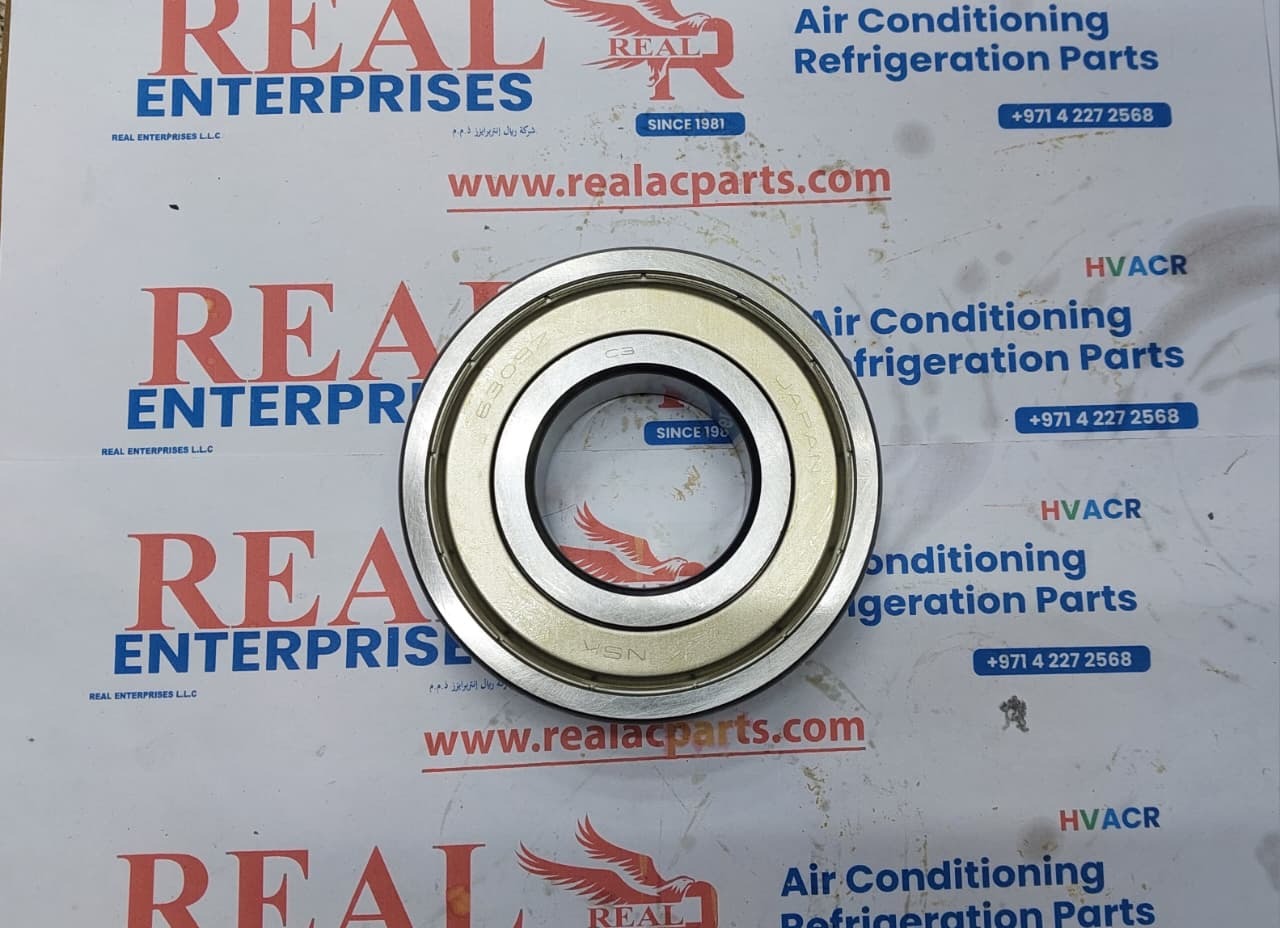 Deep Groove Ball Bearing (6309ZZC3E)