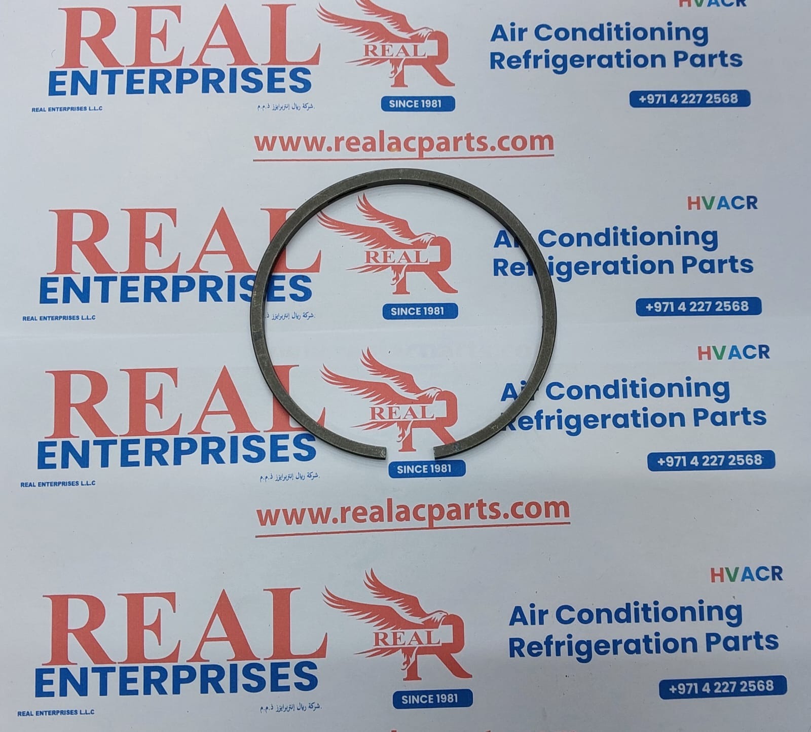 Piston Ring/ Oil (Compatible with model MQB 802)