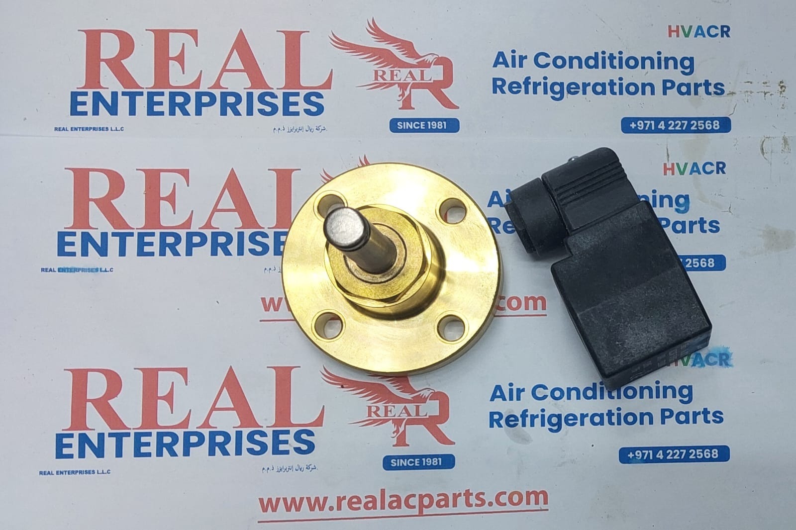 Unloader Valve Assembly (240V) (06E)