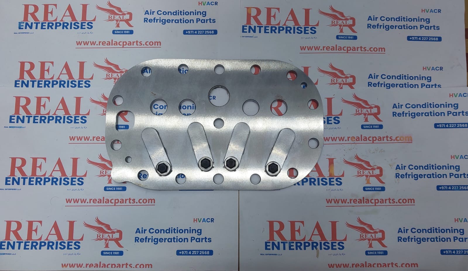Valve Plate Kit (2-15/16″ 74.6) (Right)
