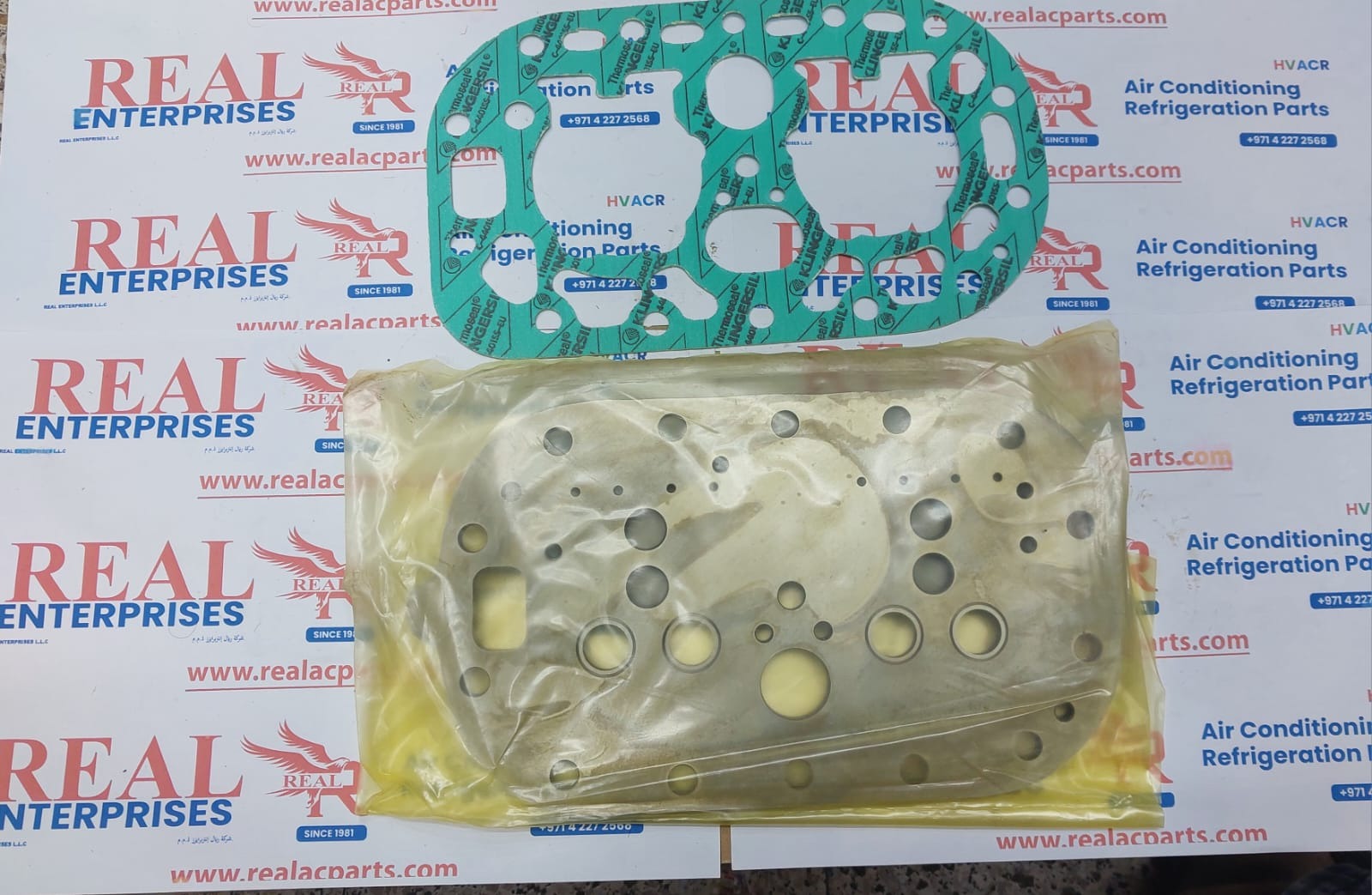 Valve Plate Kit