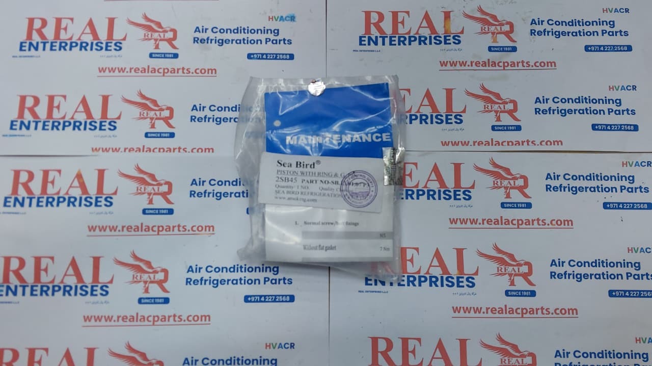 Piston with Ring & Gasket Kit (2SB45)