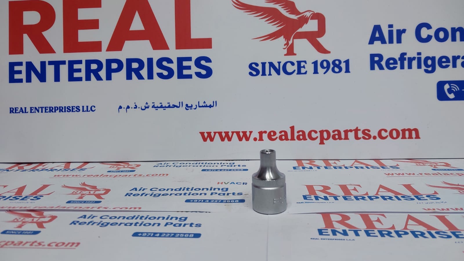 1/2" Drive Star Socket (External Torx) (54608)